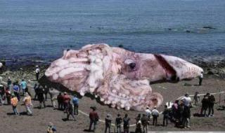 现实版生化危机 现实版生化危机